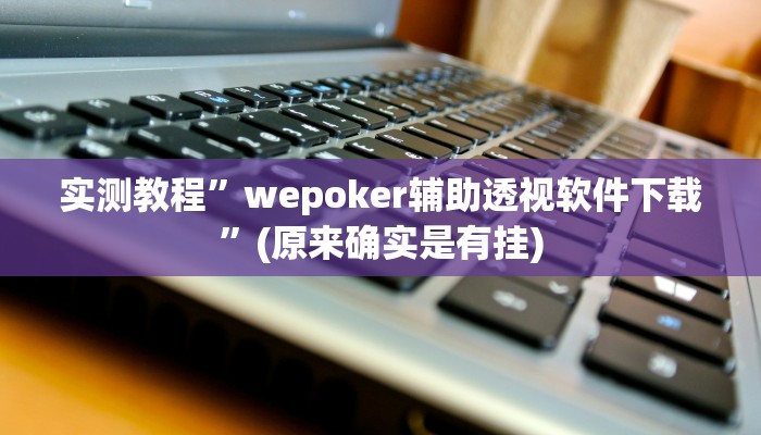 实测教程”wepoker辅助透视软件下载”(原来确实是有挂)