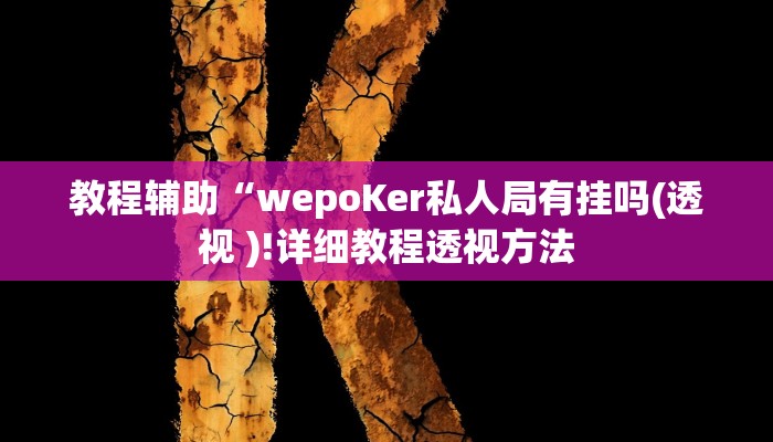 教程辅助“wepoKer私人局有挂吗(透视 )!详细教程透视方法