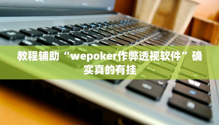 教程辅助“wepoker作弊透视软件”确实真的有挂