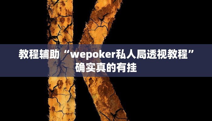 教程辅助“wepoker私人局透视教程”确实真的有挂