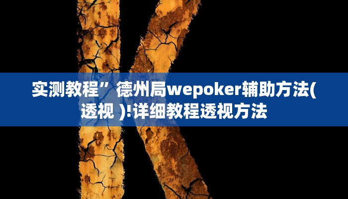 实测教程”wepoker德州局透视挂作弊辅助方法