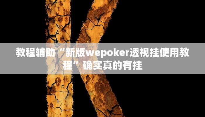 实测教程”wepoker到底透视挂真的假的”(原来确实是有挂) 