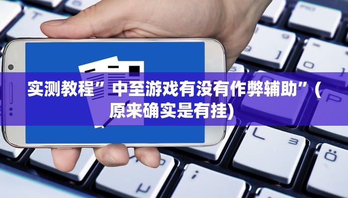 实测教程”中至游戏有没有作弊辅助”(原来确实是有挂) 