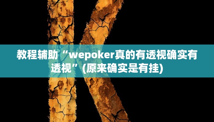 教程辅助“wepoker真的有透视确实有透视”(原来确实是有挂)
