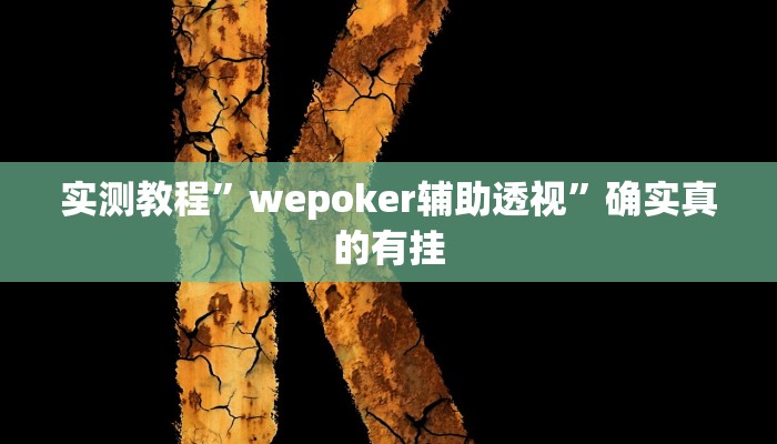 实测教程”wepoker辅助透视”确实真的有挂