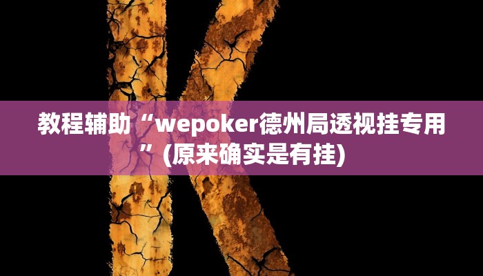 教程辅助“wepoker德州局透视挂专用”(原来确实是有挂)