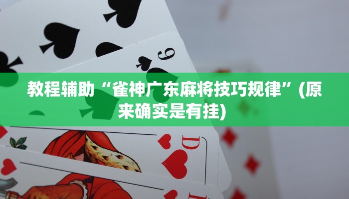 辅助神器“边锋干瞪眼怎么开挂”其实确实有挂