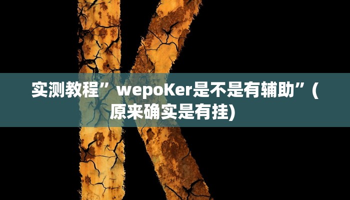 实测教程”博雅地方棋牌辅助怎么开挂”确实真的有挂