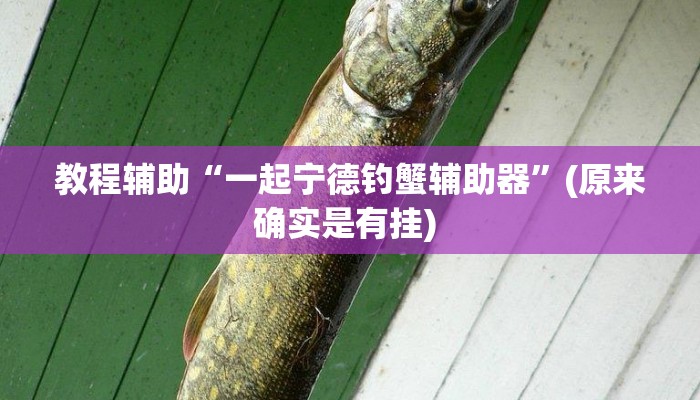 实测教程”中至九江开挂神器免费”确实真的有挂