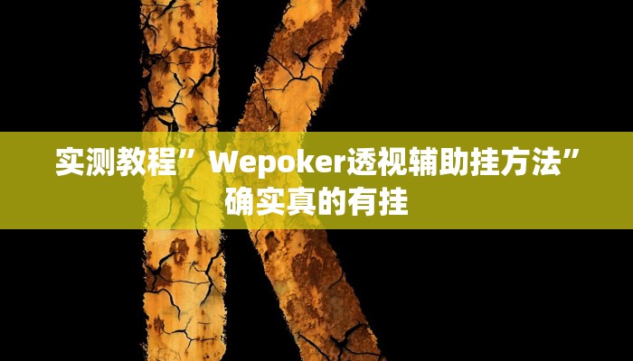 实测辅助”葫芦岛58麻将下挂”其实确实有挂