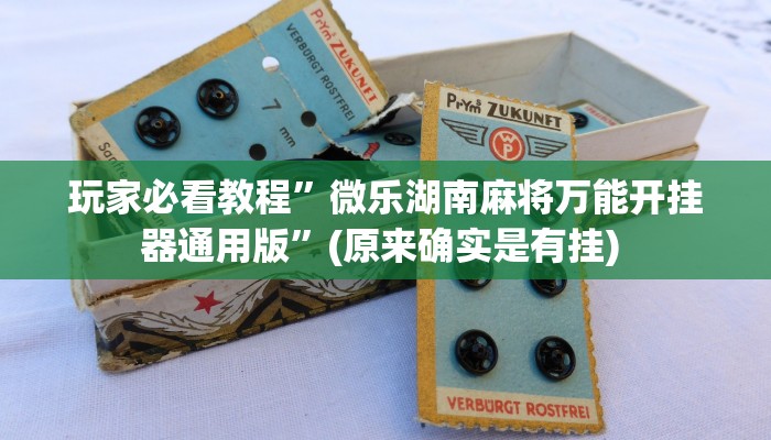实测辅助”广西八一字牌怎么开挂”其实确实有挂