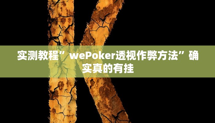 辅助神器“边锋辽宁游戏确实真的有挂”详细开挂教程