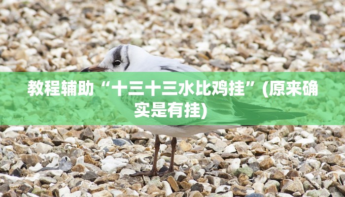 实测教程”方片十三张开挂神器”确实真的有挂