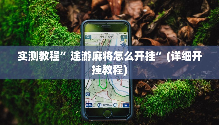 实测教程”德扑之星俱乐部开挂透视方法”确实真的有挂