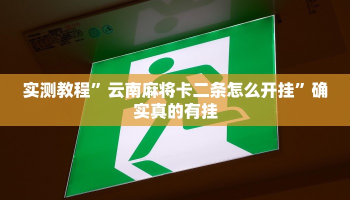 实测辅助”财神十三张开挂神器下载”详细开挂教程