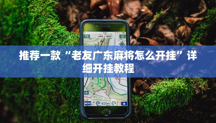 实测辅助”微乐三打一怎么开挂”其实确实有挂