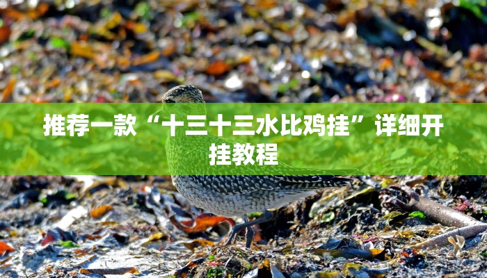 实测教程”wepoker德州作弊挂”确实真的有挂
