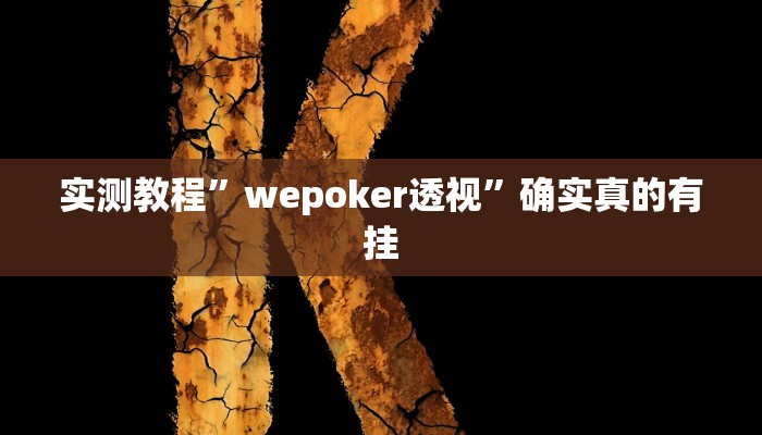 辅助神器“皮皮跑胡子究竟有没有挂”其实确实有挂