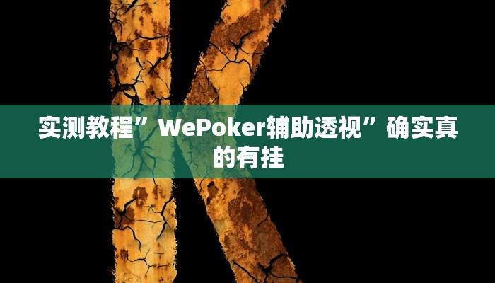 辅助神器“椰子大厅透视”详细开挂教程