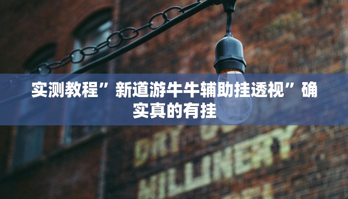 实测教程”wepoker开挂方法”确实真的有挂