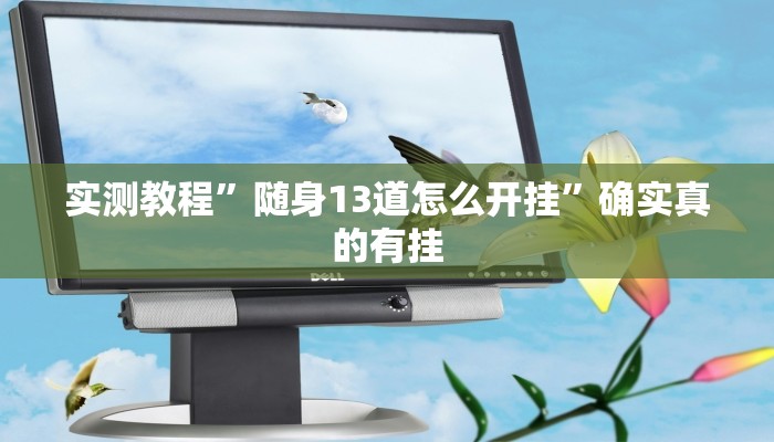 开挂辅助工具“WePoKer透视软件挂”详细开挂教程