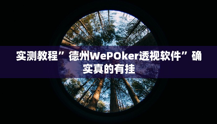 实测教程”同乡游棋牌辅助开挂”确实真的有挂
