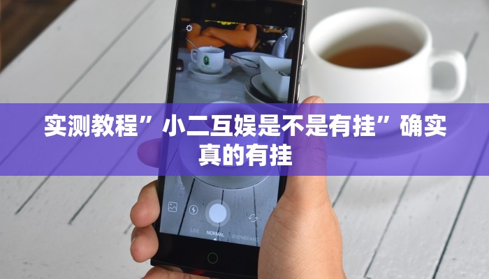 实测教程”WePoKer怎么开挂”确实真的有挂