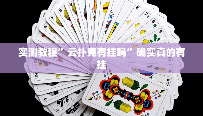 实测辅助”星空娱乐透视辅助器下载”其实确实有挂