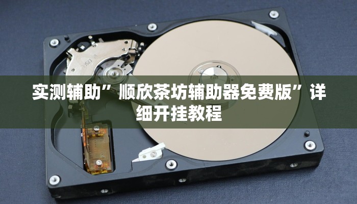 实测辅助”顺欣茶坊辅助器免费版”详细开挂教程