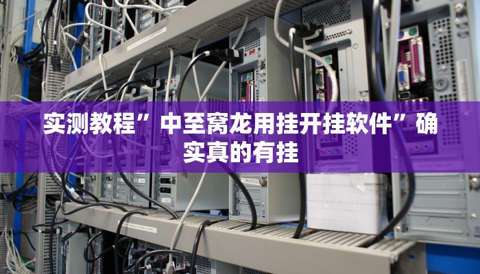 实测教程”中至窝龙用挂开挂软件”确实真的有挂