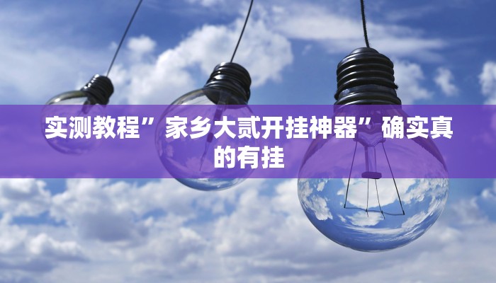 实测教程”家乡大贰开挂神器”确实真的有挂