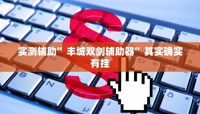 实测辅助”丰城双剑辅助器”其实确实有挂