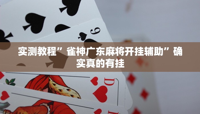 实测教程”雀神广东麻将开挂辅助”确实真的有挂