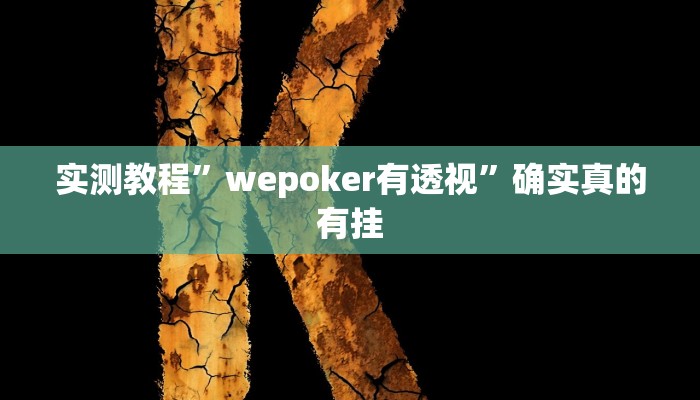 实测教程”wepoker有透视”确实真的有挂