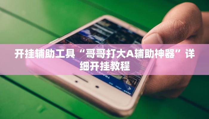 开挂辅助工具“哥哥打大A辅助神器”详细开挂教程