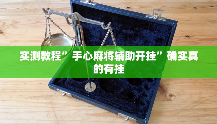 实测教程”手心麻将辅助开挂”确实真的有挂