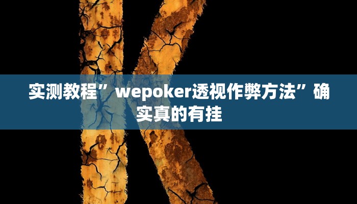 实测教程”wepoker透视作弊方法”确实真的有挂