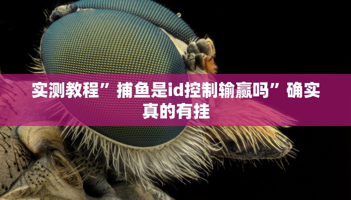 开挂辅助工具“全来湖南麻将确实真的有挂”详细开挂教程