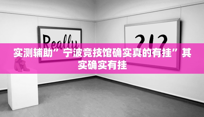 实测辅助”宁波竞技馆确实真的有挂”其实确实有挂