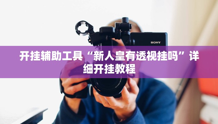 开挂辅助工具“新人皇有透视挂吗”详细开挂教程