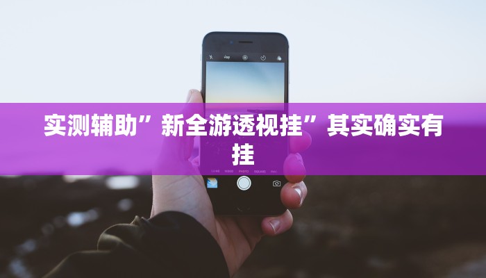 实测辅助”新全游透视挂”其实确实有挂