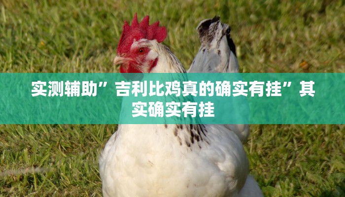 实测辅助”吉利比鸡真的确实有挂”其实确实有挂