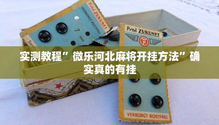 实测教程”微乐河北麻将开挂方法”确实真的有挂