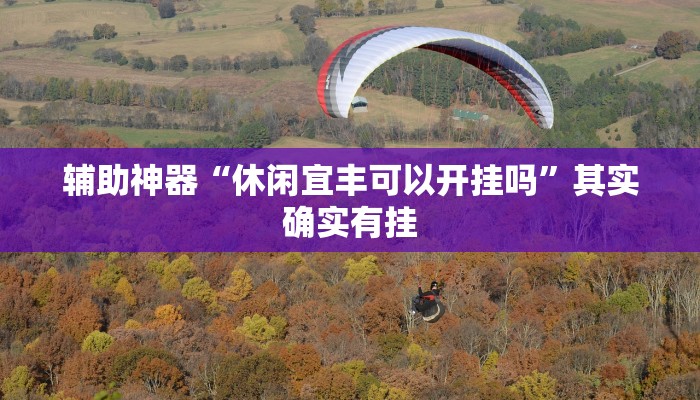 辅助神器“休闲宜丰可以开挂吗”其实确实有挂