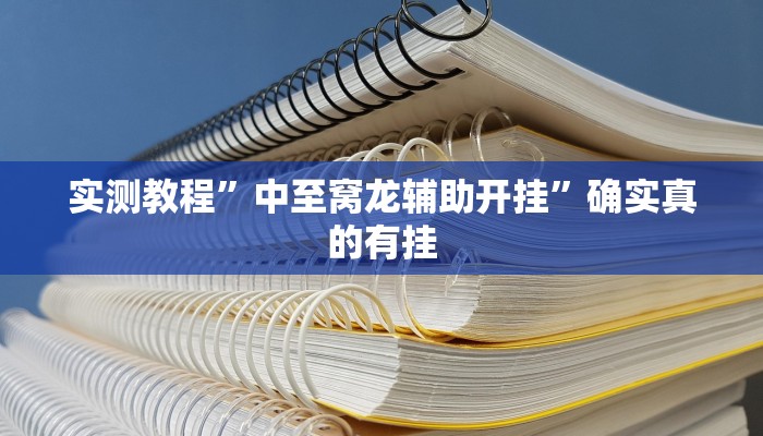 实测教程”中至窝龙辅助开挂”确实真的有挂