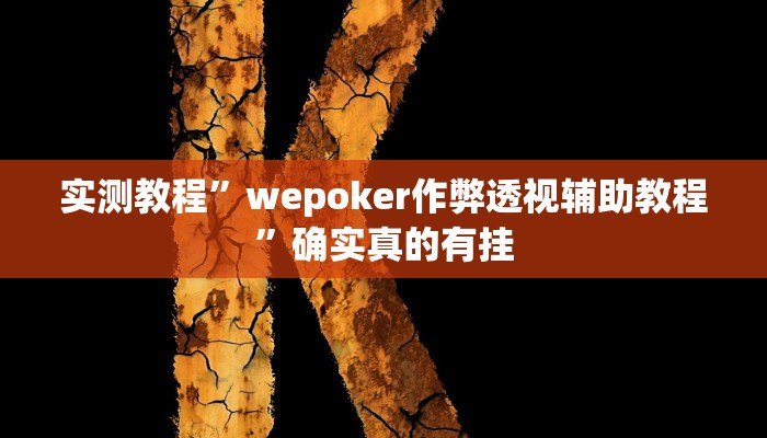 实测教程”wepoker作弊透视辅助教程”确实真的有挂
