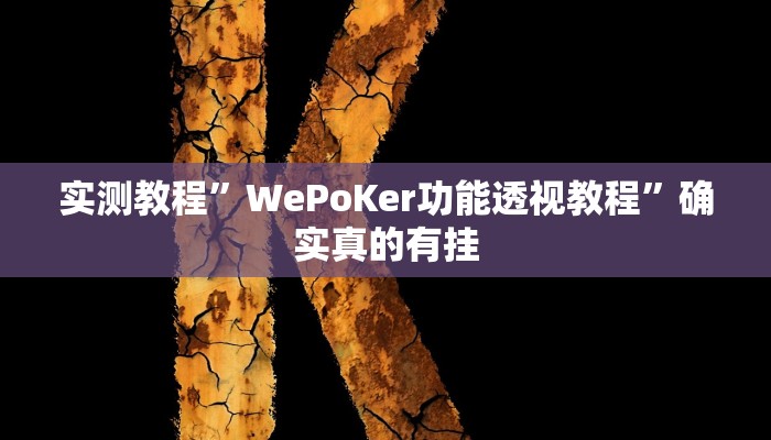 实测教程”WePoKer功能透视教程”确实真的有挂