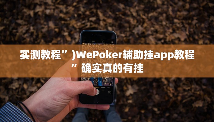 实测教程”)WePoker辅助挂app教程”确实真的有挂