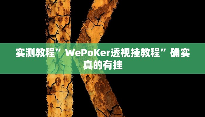 实测教程”WePoKer透视挂教程”确实真的有挂