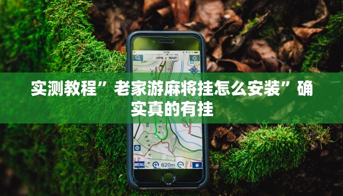 实测教程”老家游麻将挂怎么安装”确实真的有挂